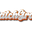 batchgrove.com favicon